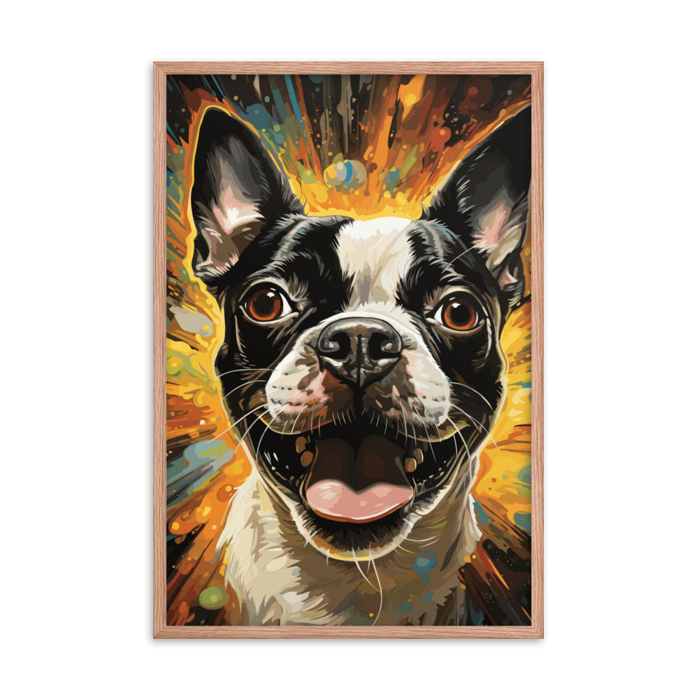 Zoomies Excitement Boston Terrier Dog Framed poster