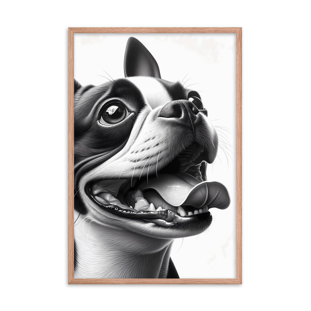 Overjoyed Boston Terrier Dog Framed Poster