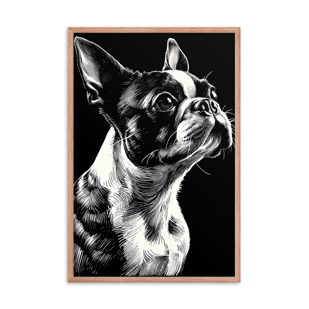 Boston Terrier Line Art Framed Poster