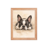 Watercolor Boston Terrier Dog Art Print Framed Poster . Red Oak 8″×10″