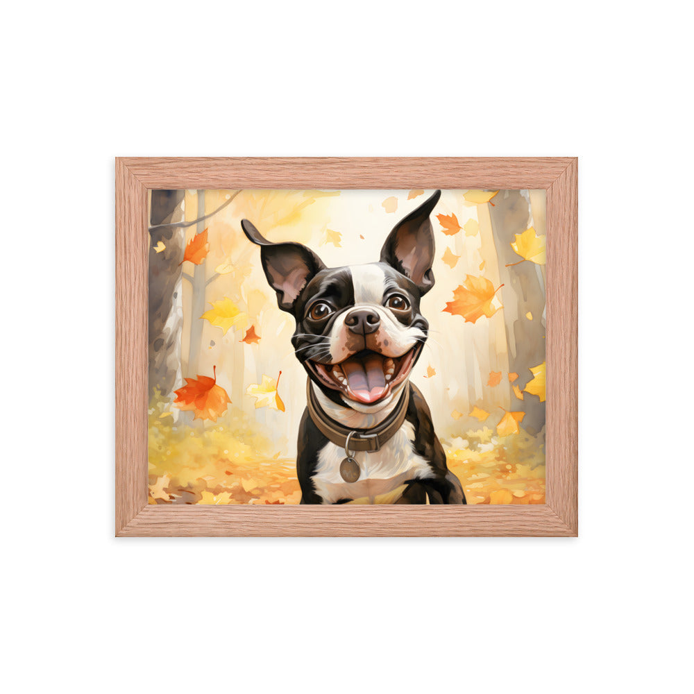 Cheerful Boston Terrier Dog Exploring A Park Watercolor Framed poster