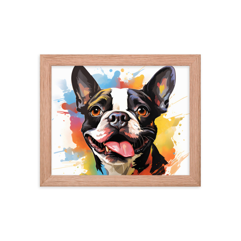 Colorful Playful Boston Terrier Dog Splash Art Framed Poster