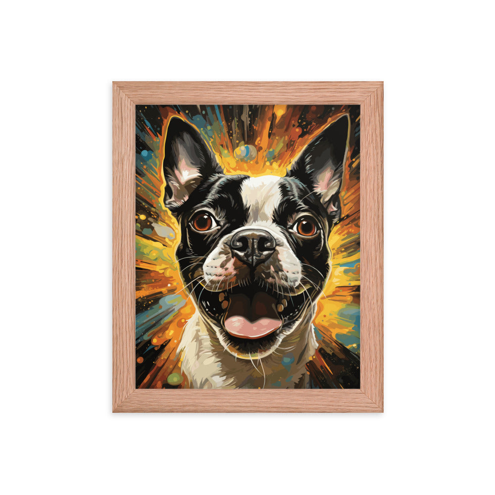 Zoomies Excitement Boston Terrier Dog Framed poster