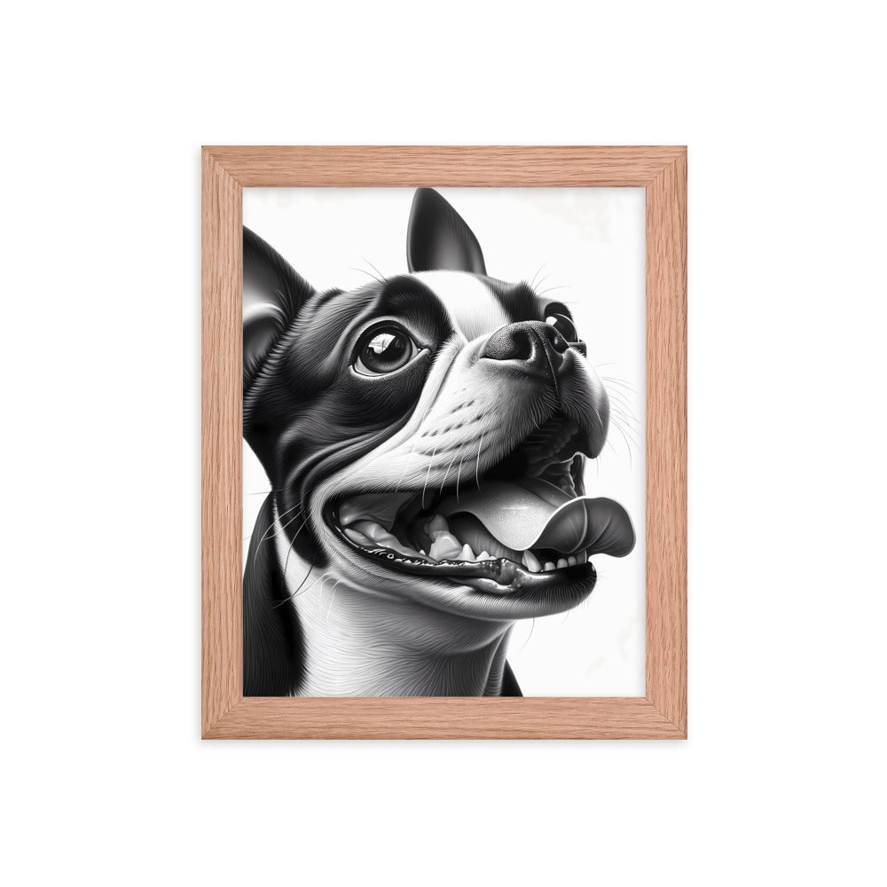 Overjoyed Boston Terrier Dog Framed Poster