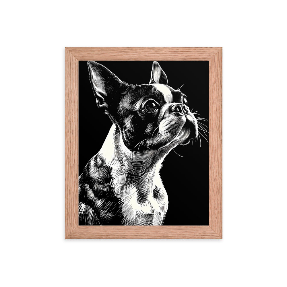 Boston Terrier Line Art Framed Poster