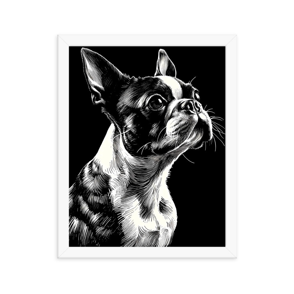 Boston Terrier Line Art Framed Poster