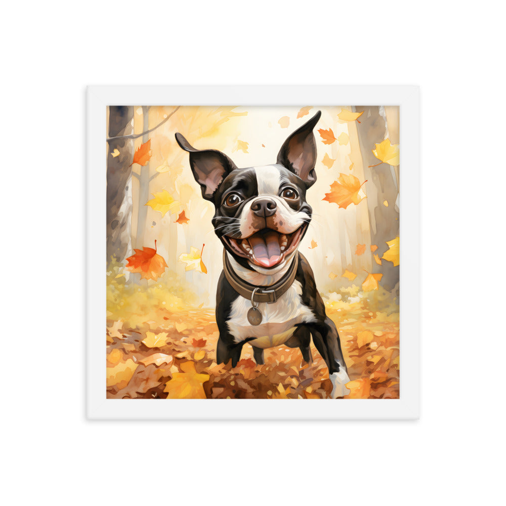 Cheerful Boston Terrier Dog Exploring A Park Watercolor Framed poster