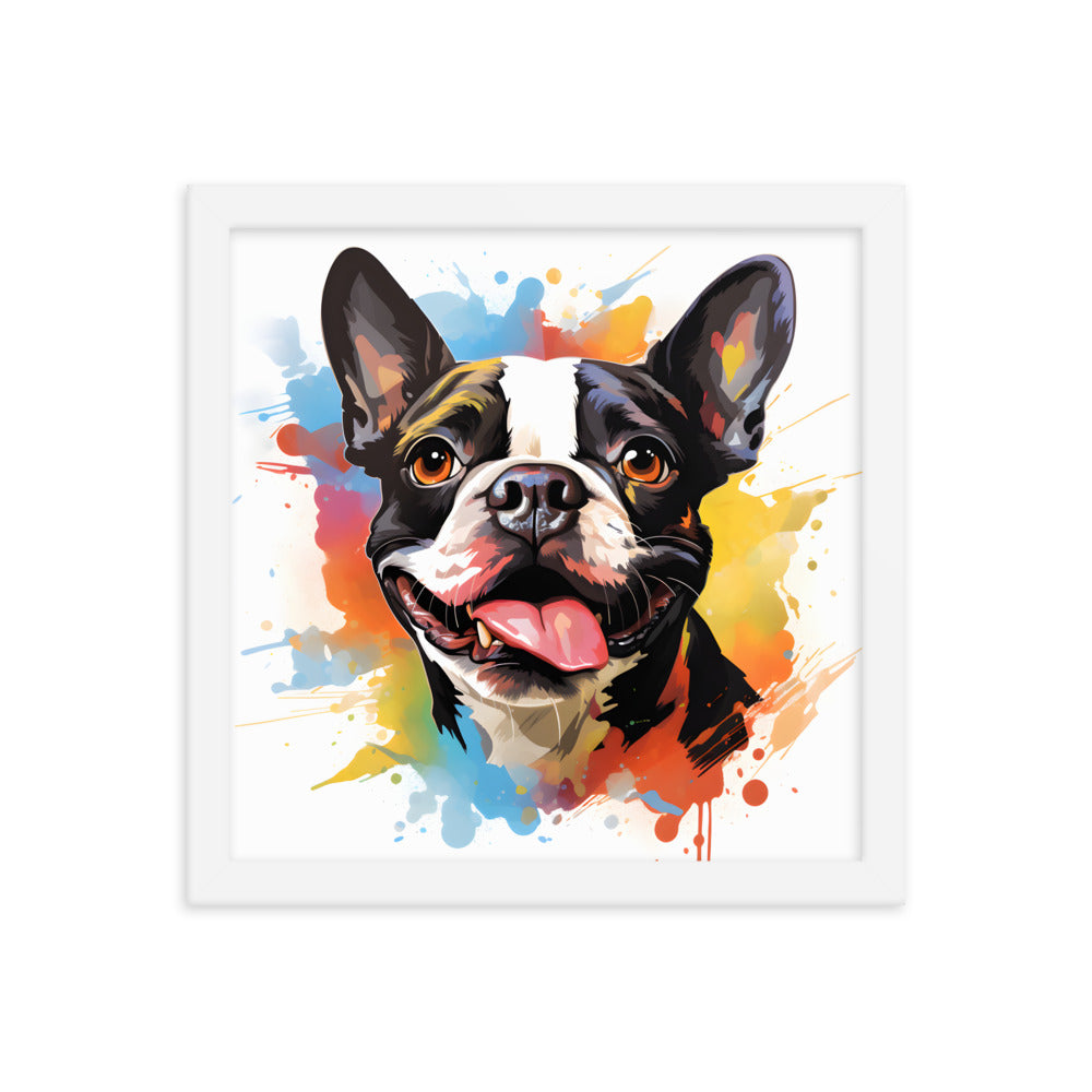 Colorful Playful Boston Terrier Dog Splash Art Framed Poster