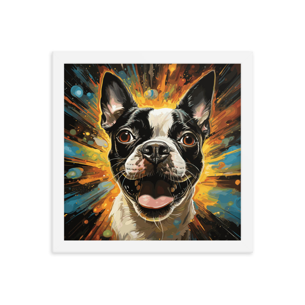 Zoomies Excitement Boston Terrier Dog Framed poster