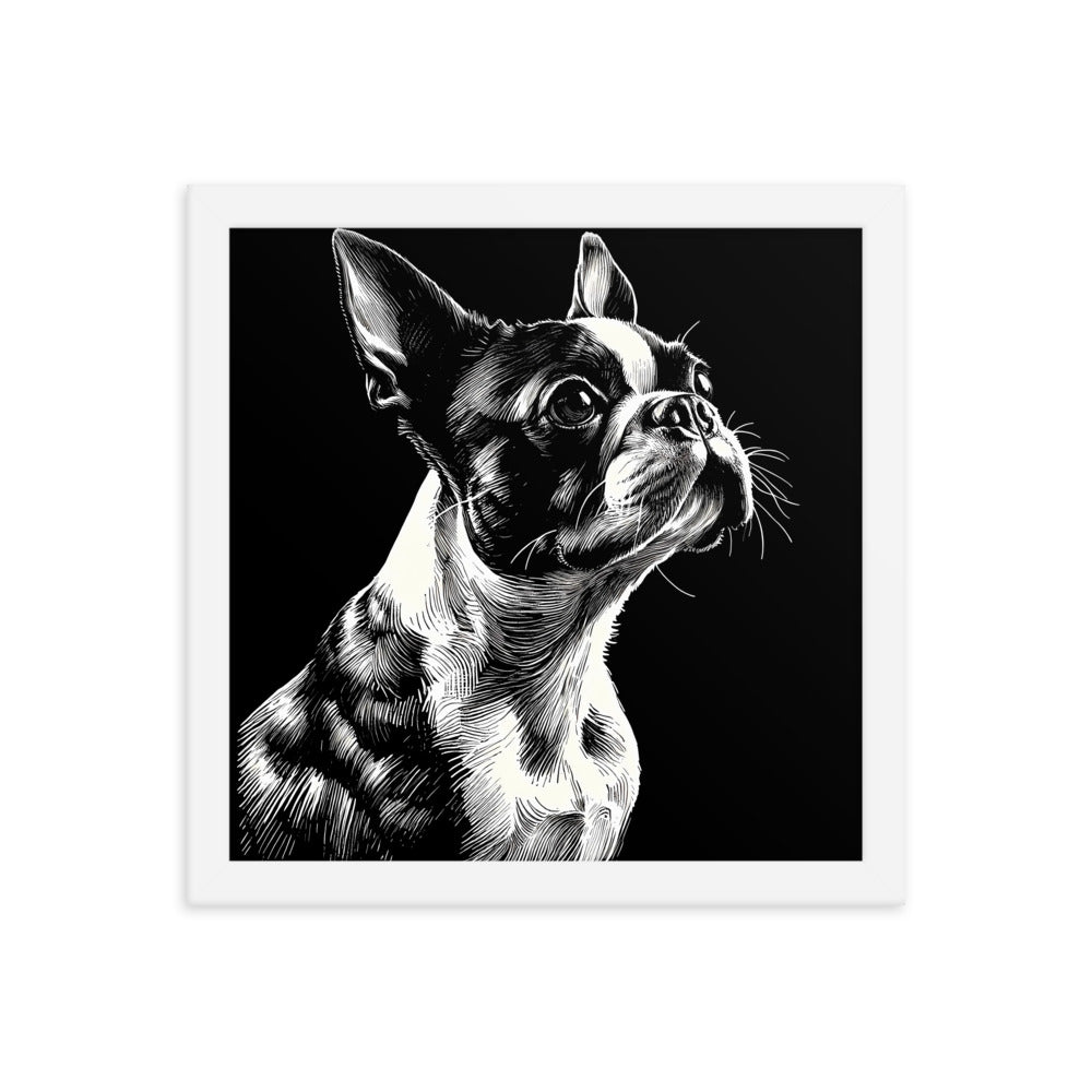 Boston Terrier Line Art Framed Poster