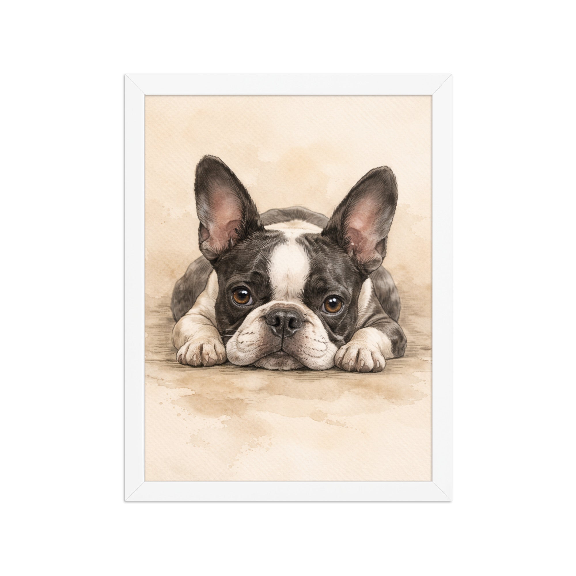 Watercolor Boston Terrier Dog Art Print Framed Poster . White 12″×16″