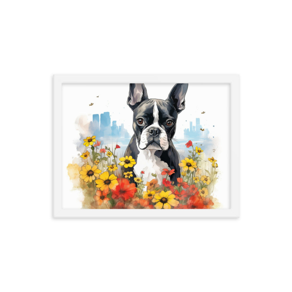 Boston Terrier Dog In A Garden Outside The City Framed Poster