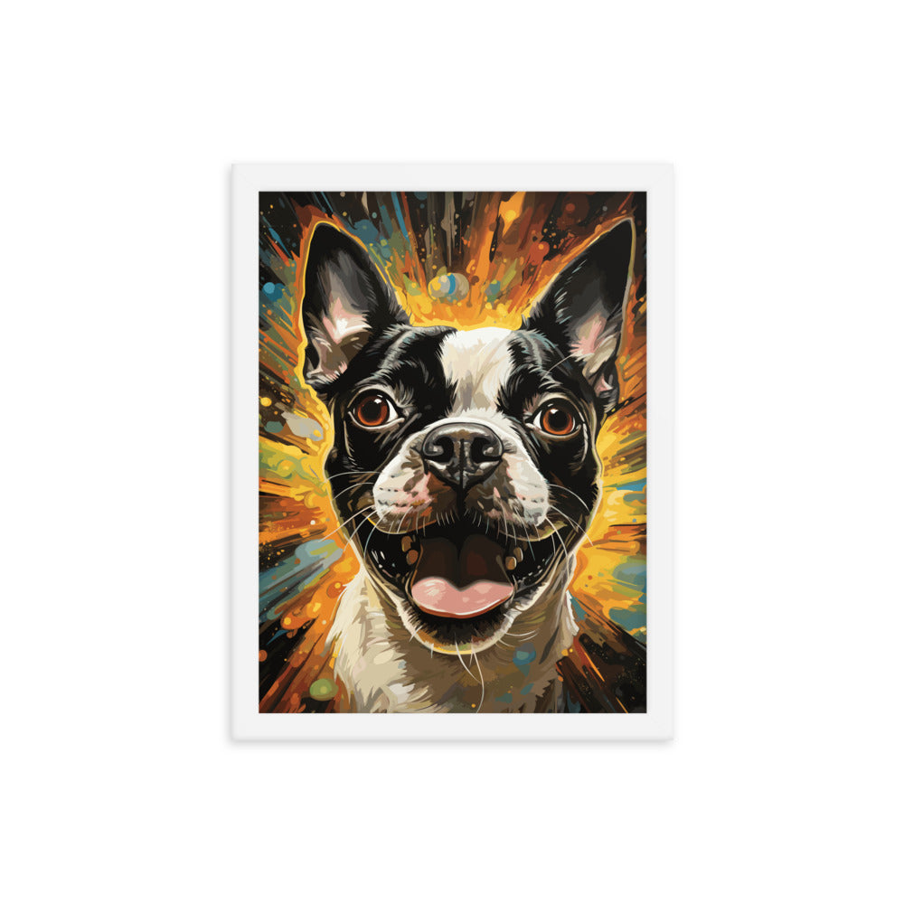 Zoomies Excitement Boston Terrier Dog Framed poster