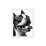 Overjoyed Boston Terrier Dog Framed Poster