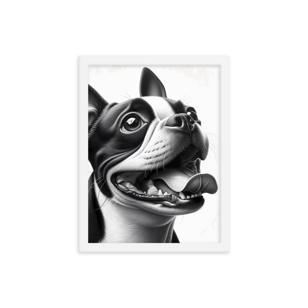 Overjoyed Boston Terrier Dog Framed Poster