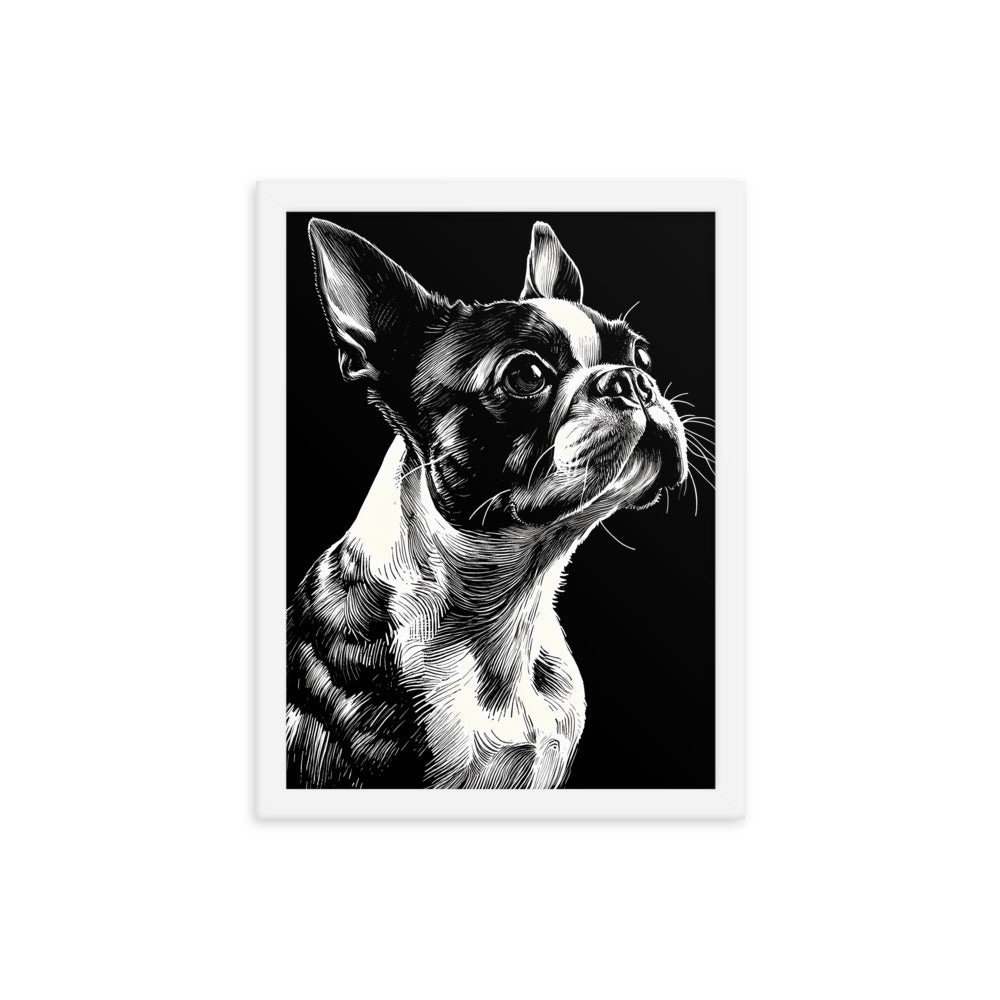 Boston Terrier Line Art Framed Poster