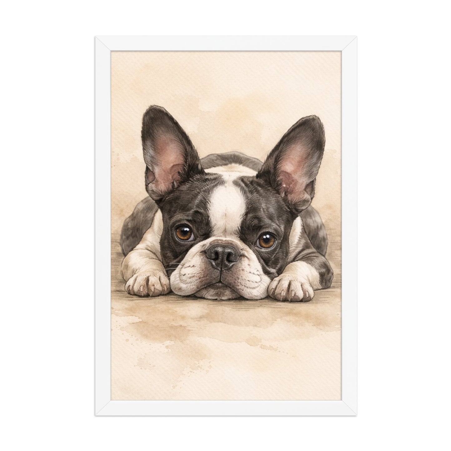 Watercolor Boston Terrier Dog Art Print Framed Poster . White 12″×18″