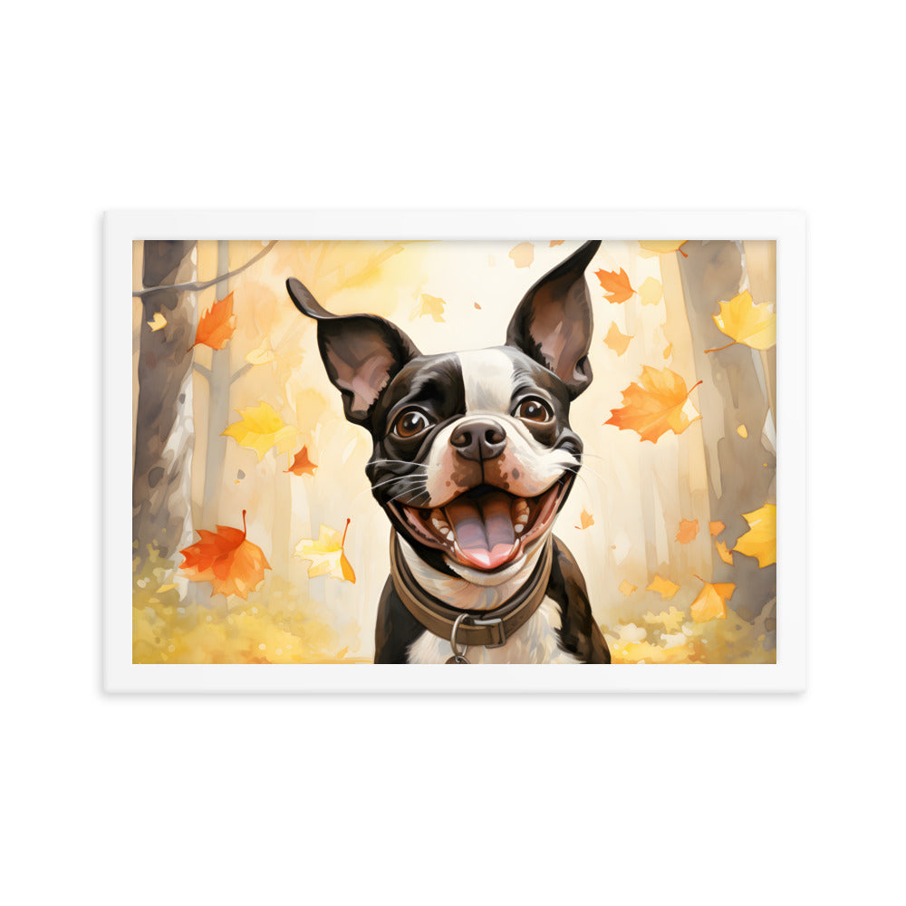 Cheerful Boston Terrier Dog Exploring A Park Watercolor Framed poster