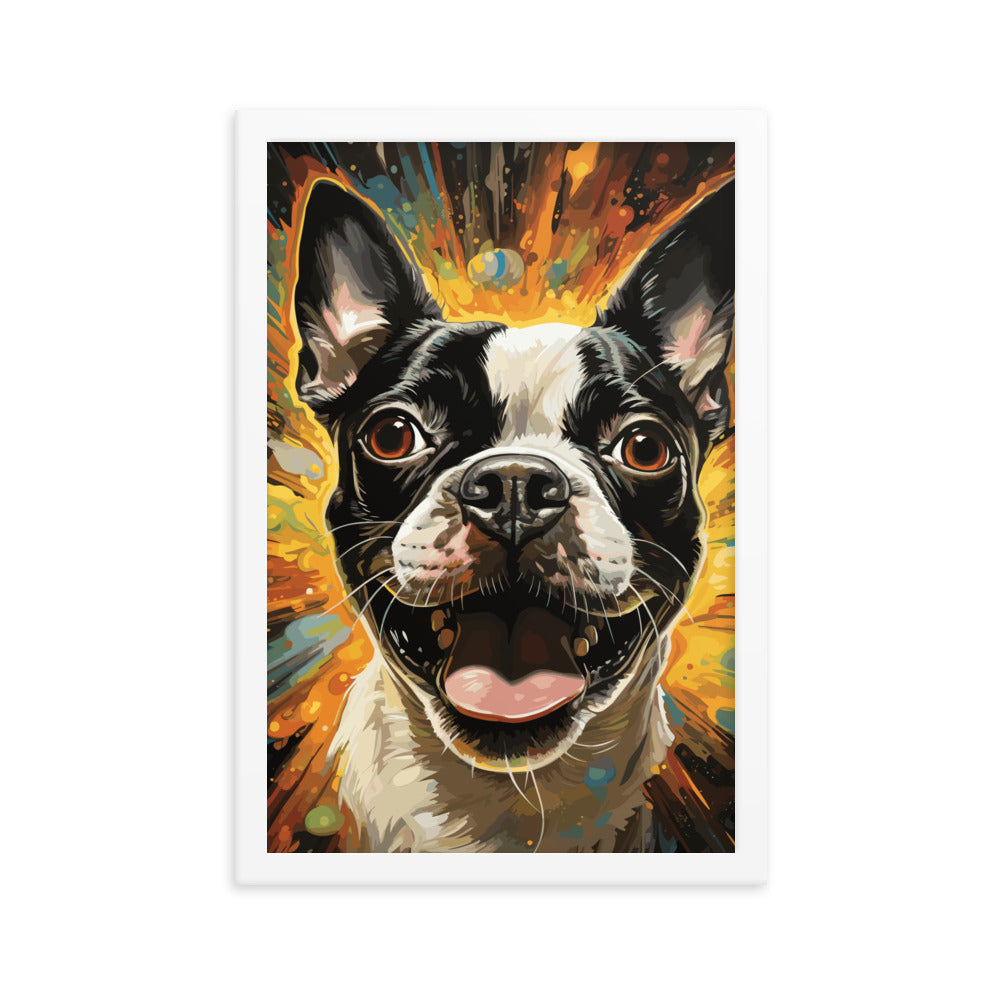 Zoomies Excitement Boston Terrier Dog Framed poster