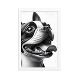 Overjoyed Boston Terrier Dog Framed Poster