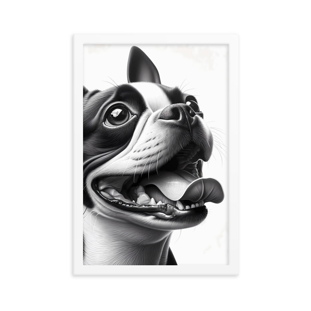 Overjoyed Boston Terrier Dog Framed Poster