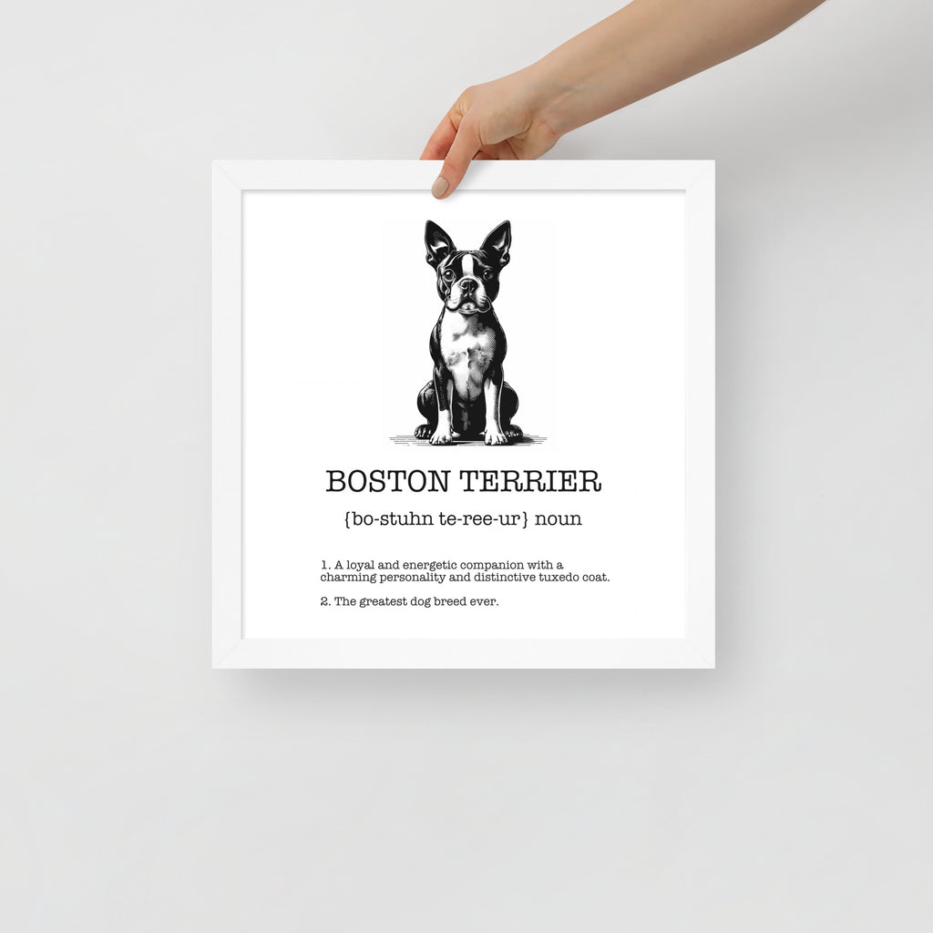 Boston Terrier Definition Framed Poster