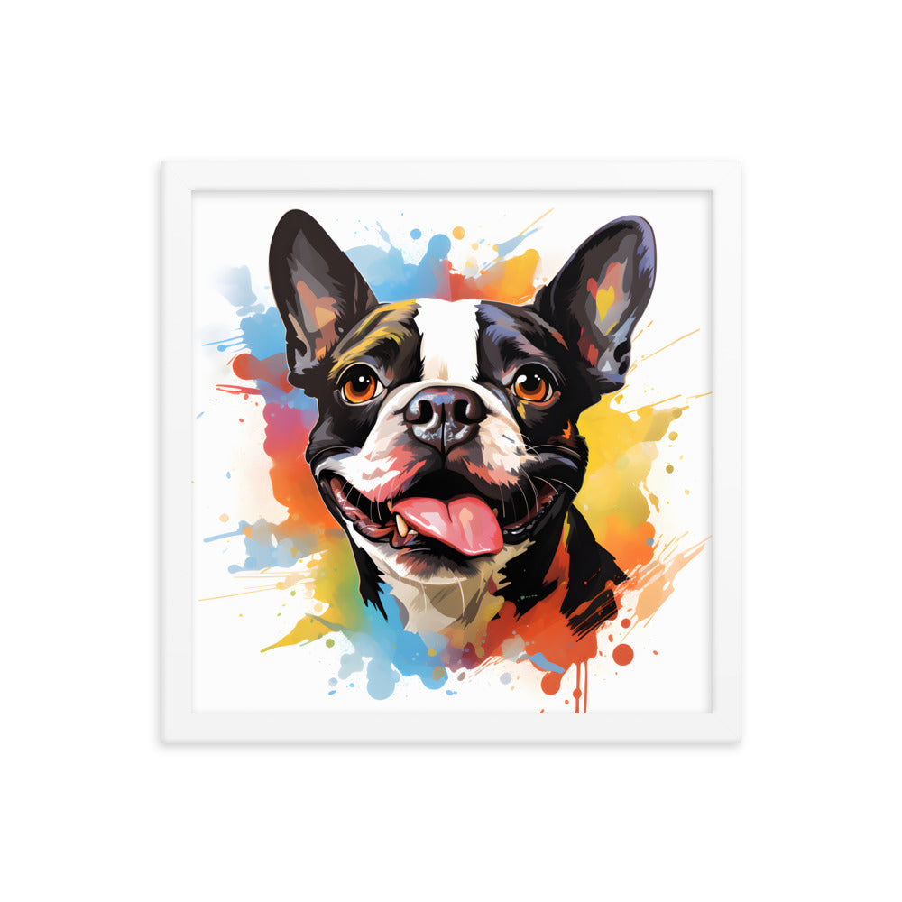 Colorful Playful Boston Terrier Dog Splash Art Framed Poster