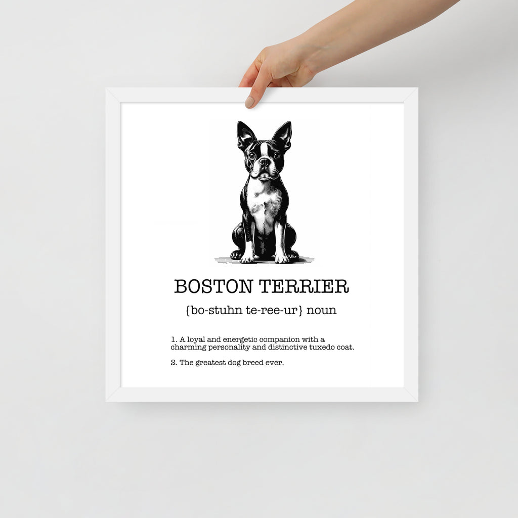 Boston Terrier Definition Framed Poster