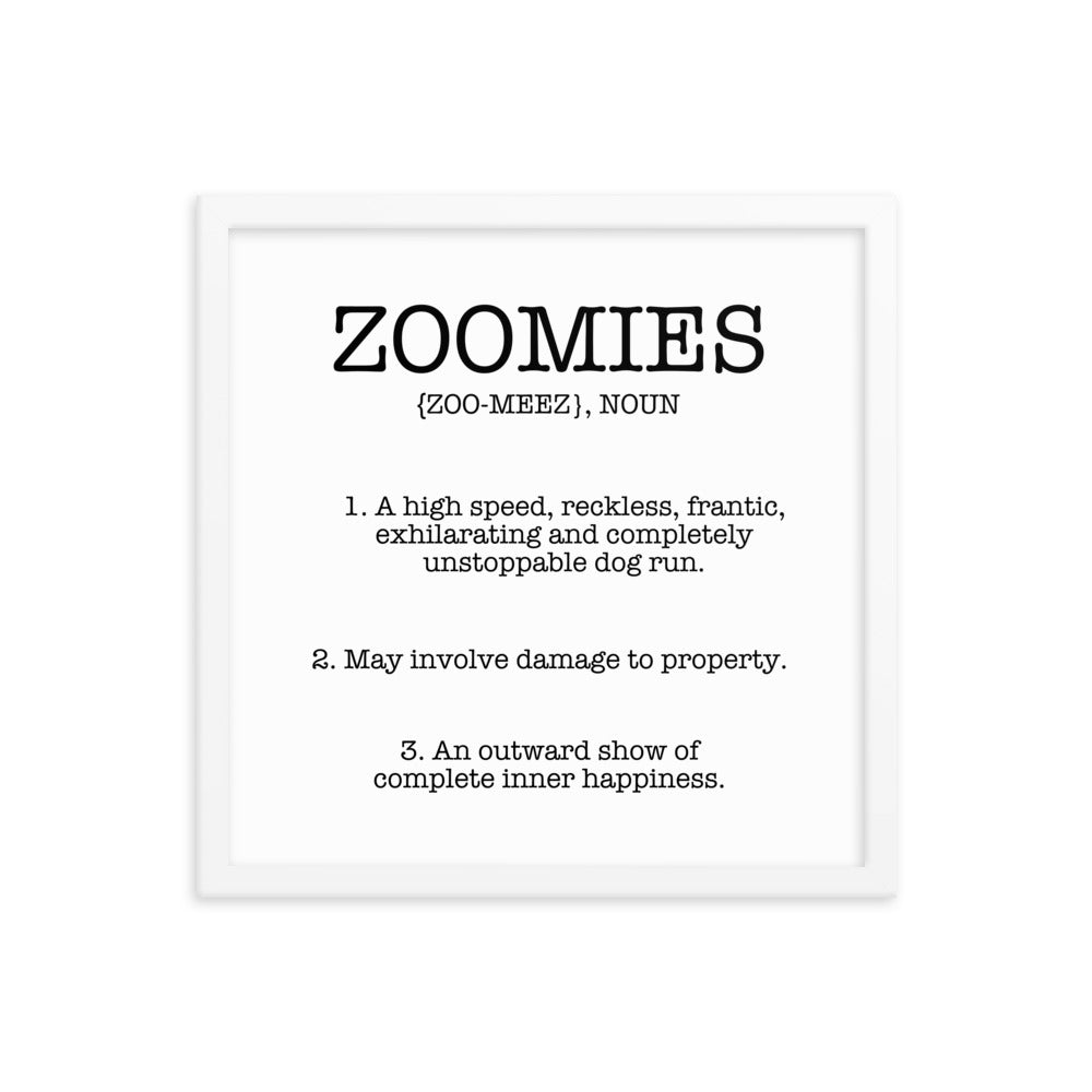 Zoomies Definition Framed Poster