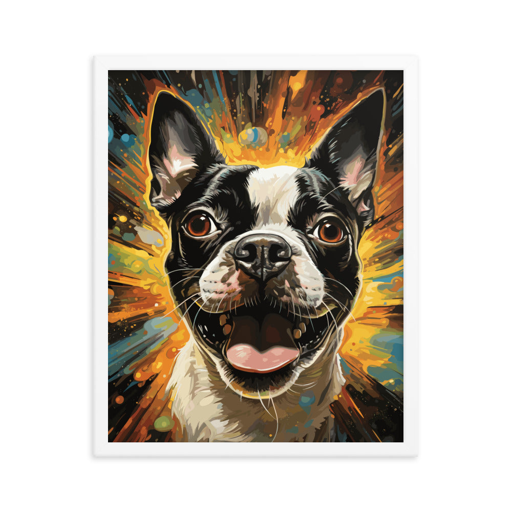 Zoomies Excitement Boston Terrier Dog Framed poster