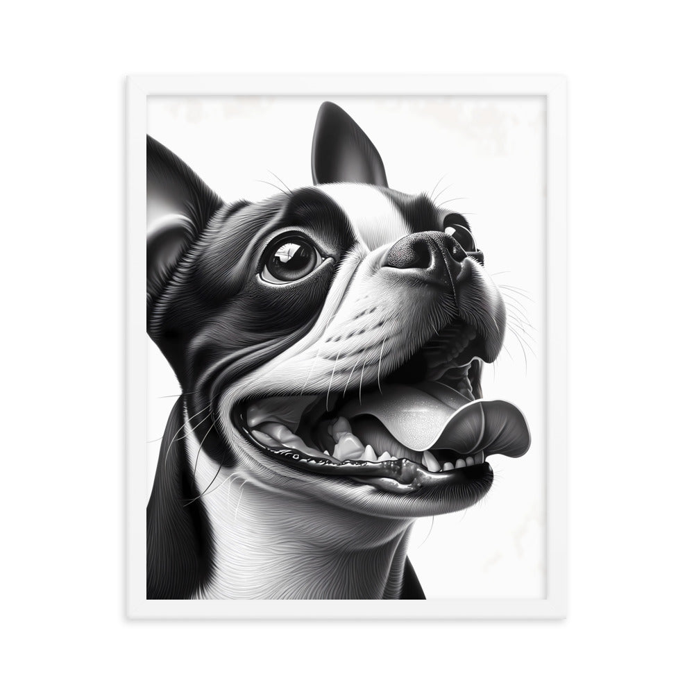 Overjoyed Boston Terrier Dog Framed Poster