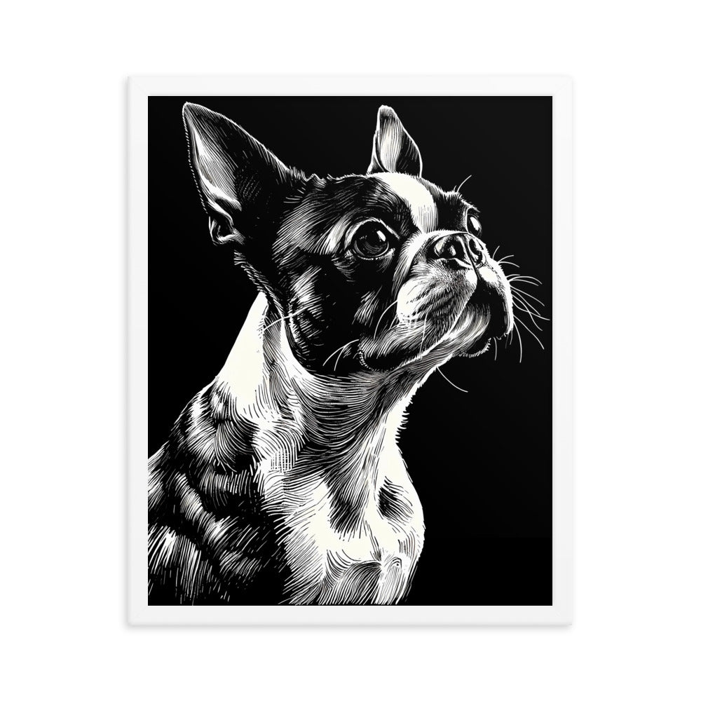 Boston Terrier Line Art Framed Poster