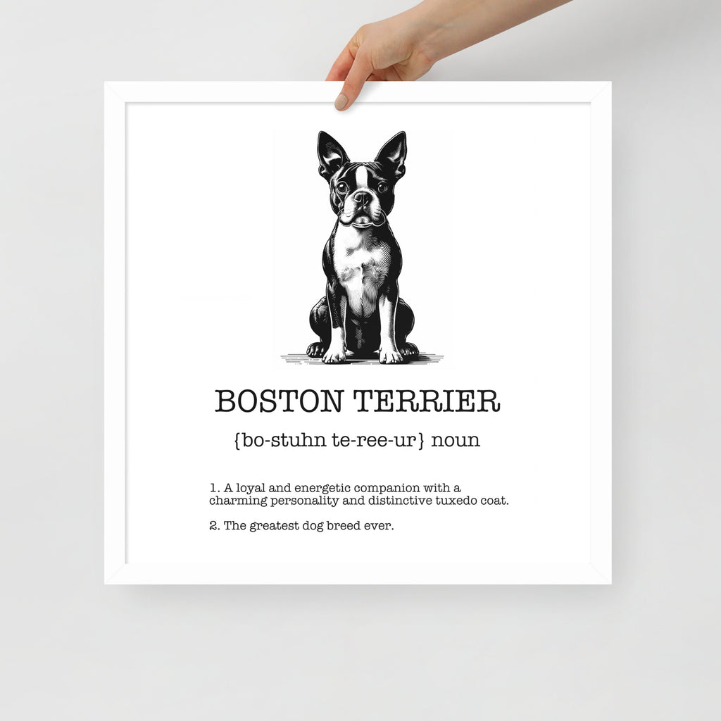 Boston Terrier Definition Framed Poster