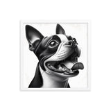 Overjoyed Boston Terrier Dog Framed Poster