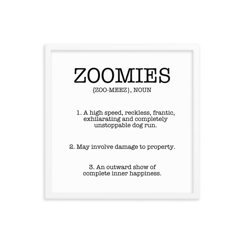 Zoomies Definition Framed Poster