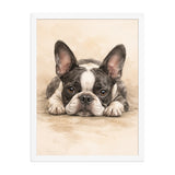 Watercolor Boston Terrier Dog Art Print Framed Poster . White 18″×24″