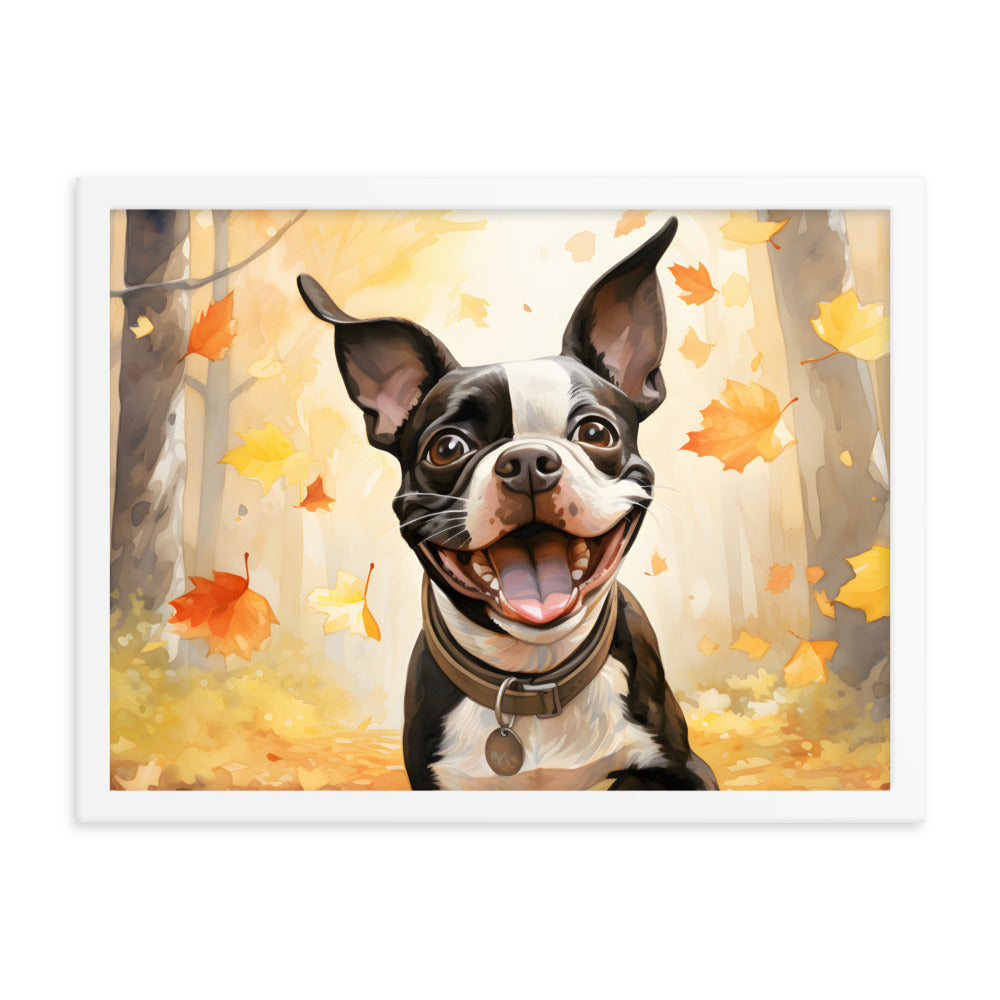 Cheerful Boston Terrier Dog Exploring A Park Watercolor Framed poster