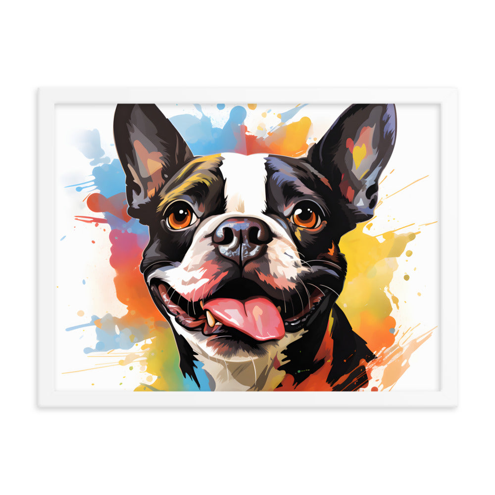 Colorful Playful Boston Terrier Dog Splash Art Framed Poster