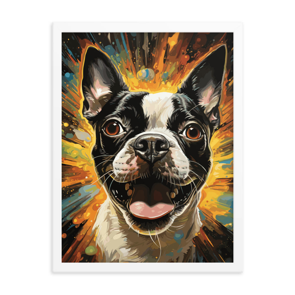 Zoomies Excitement Boston Terrier Dog Framed poster