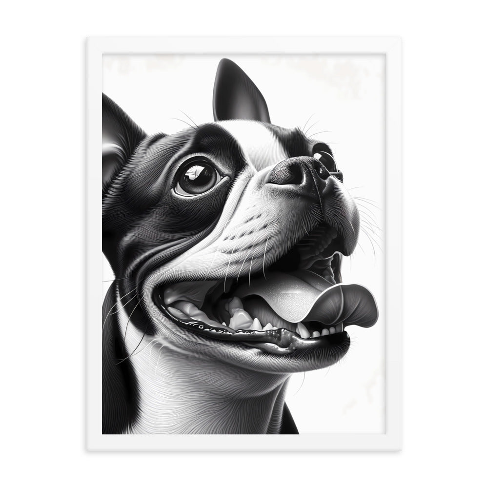 Overjoyed Boston Terrier Dog Framed Poster