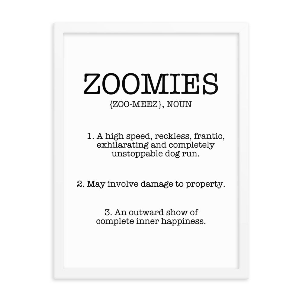 Zoomies Definition Framed Poster