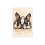 Watercolor Boston Terrier Dog Art Print Framed Poster . White 20″×30″