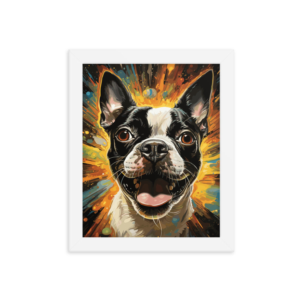 Zoomies Excitement Boston Terrier Dog Framed poster