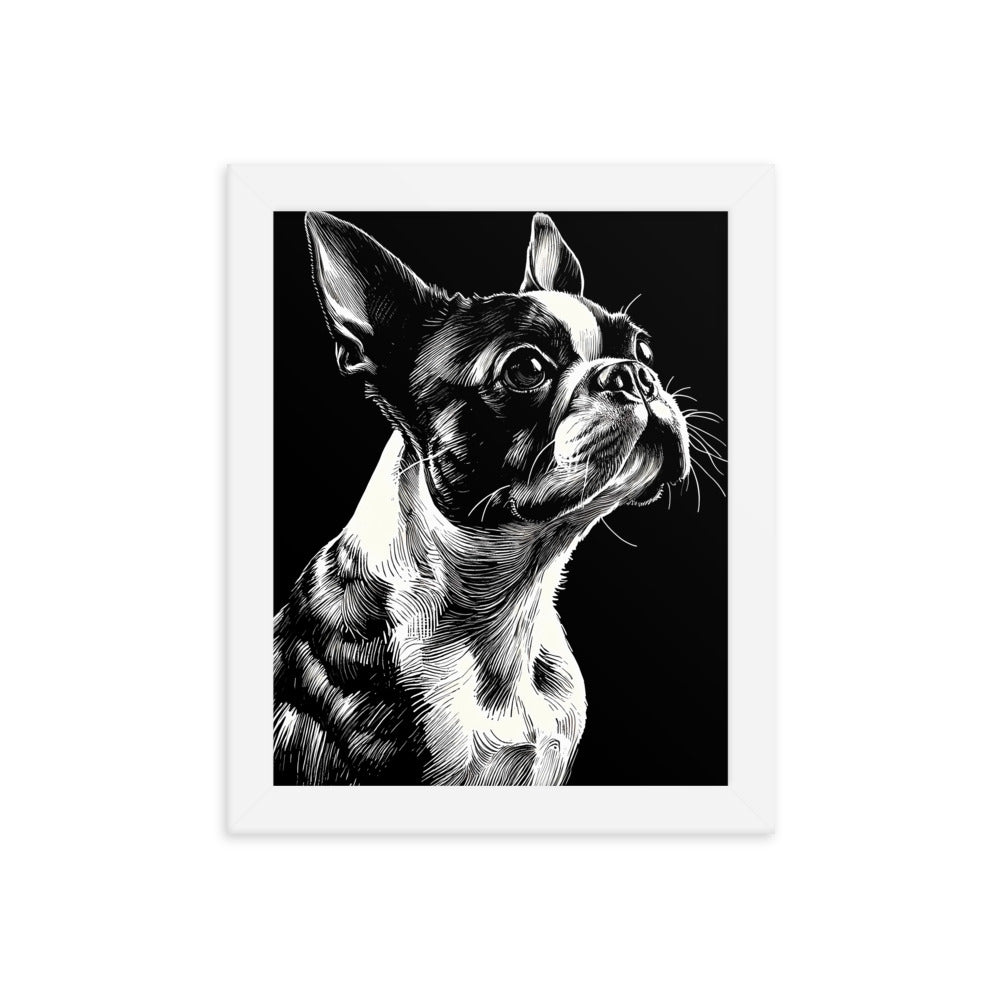 Boston Terrier Line Art Framed Poster