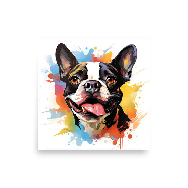 Colorful Playful Boston Terrier Dog Splash Art Poster