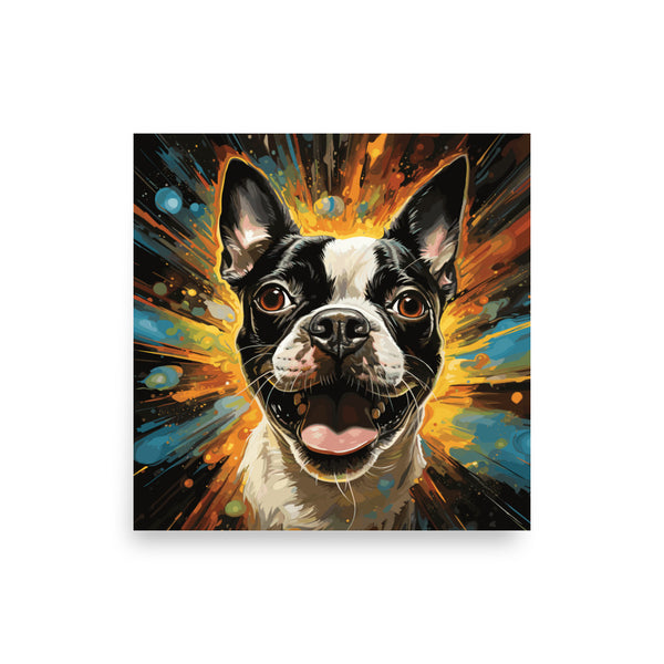 Zoomies Excitement Boston Terrier Dog Poster