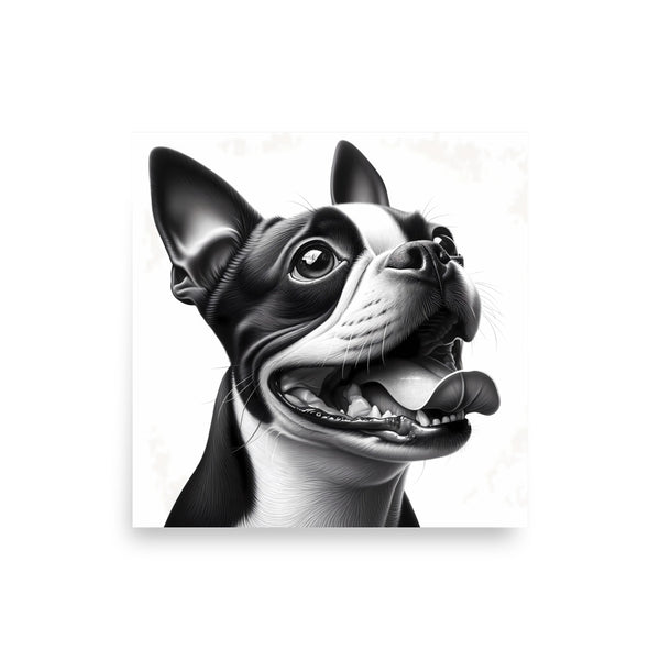 Overjoyed Boston Terrier Dog Poster