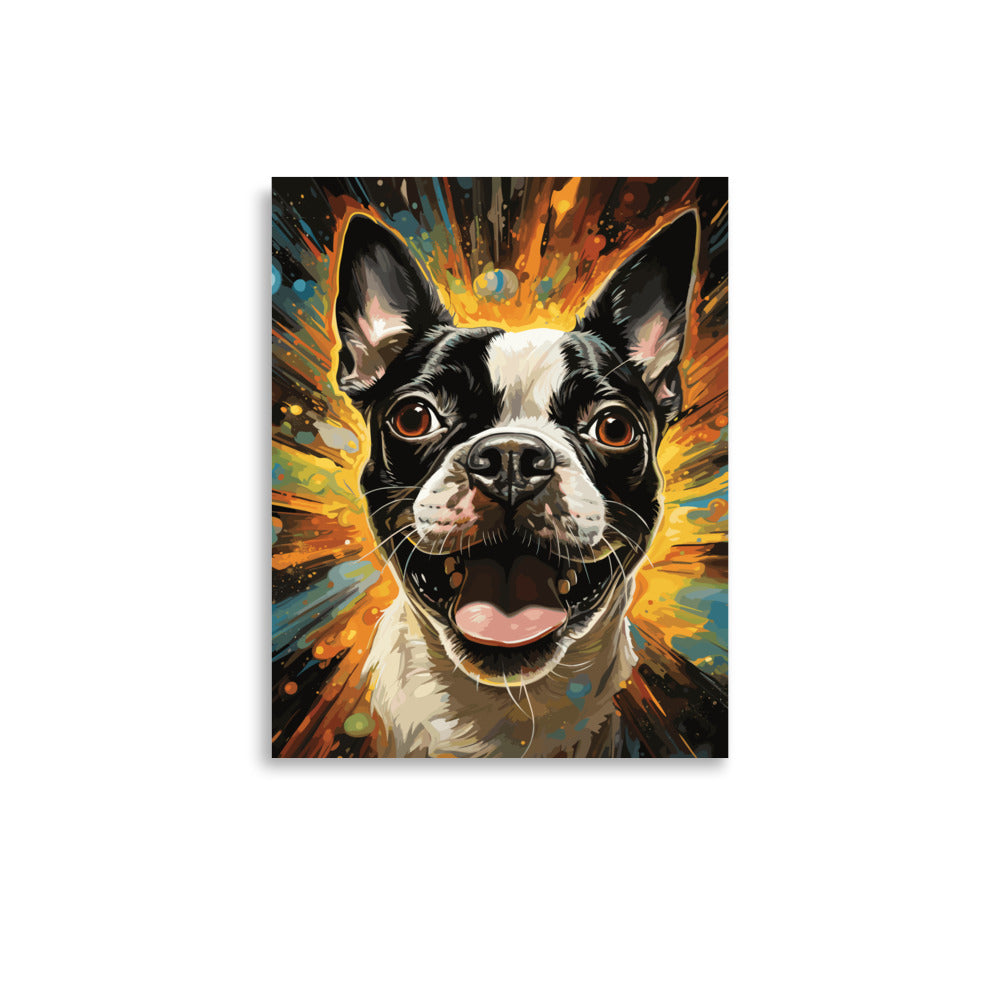 Zoomies Excitement Boston Terrier Dog Poster