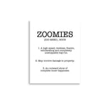 Zoomies Definition Poster