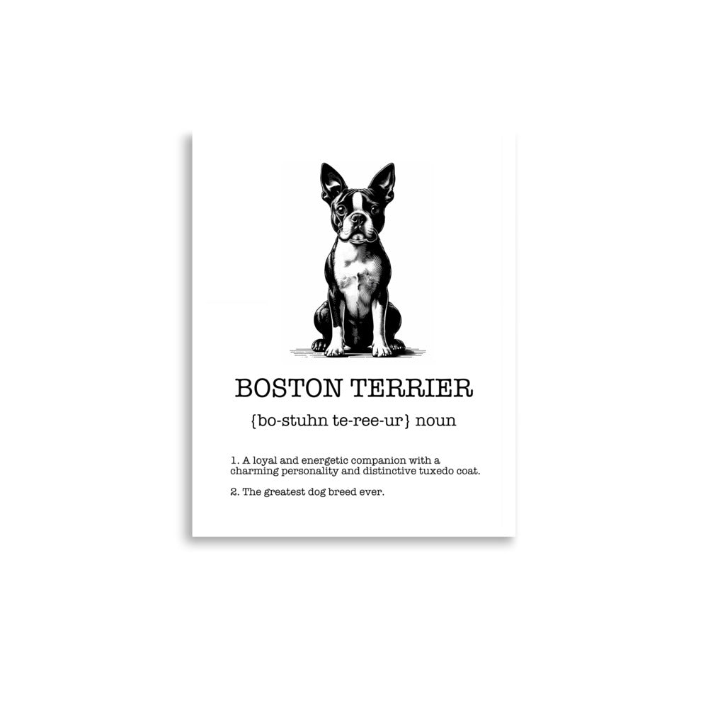 Boston Terrier Definition Poster